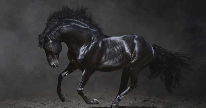 大源機械：以“黑馬式”速度實現民族印機制造業的智能化創新